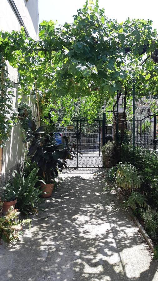 Casa Sofia - Appartamento Con Parcheggio Riservato Terni Eksteriør bilde
